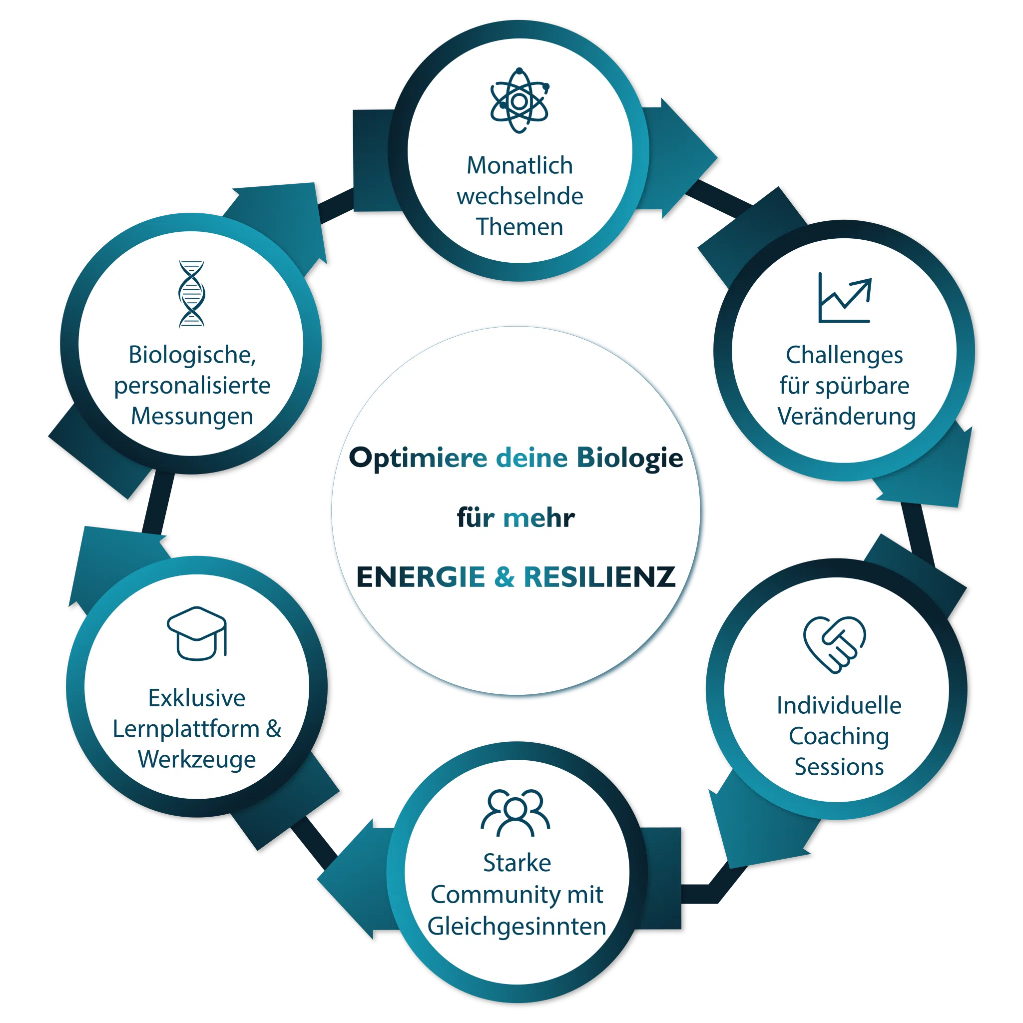 Neuro_Pioneers_Club_Aufbau-768x768