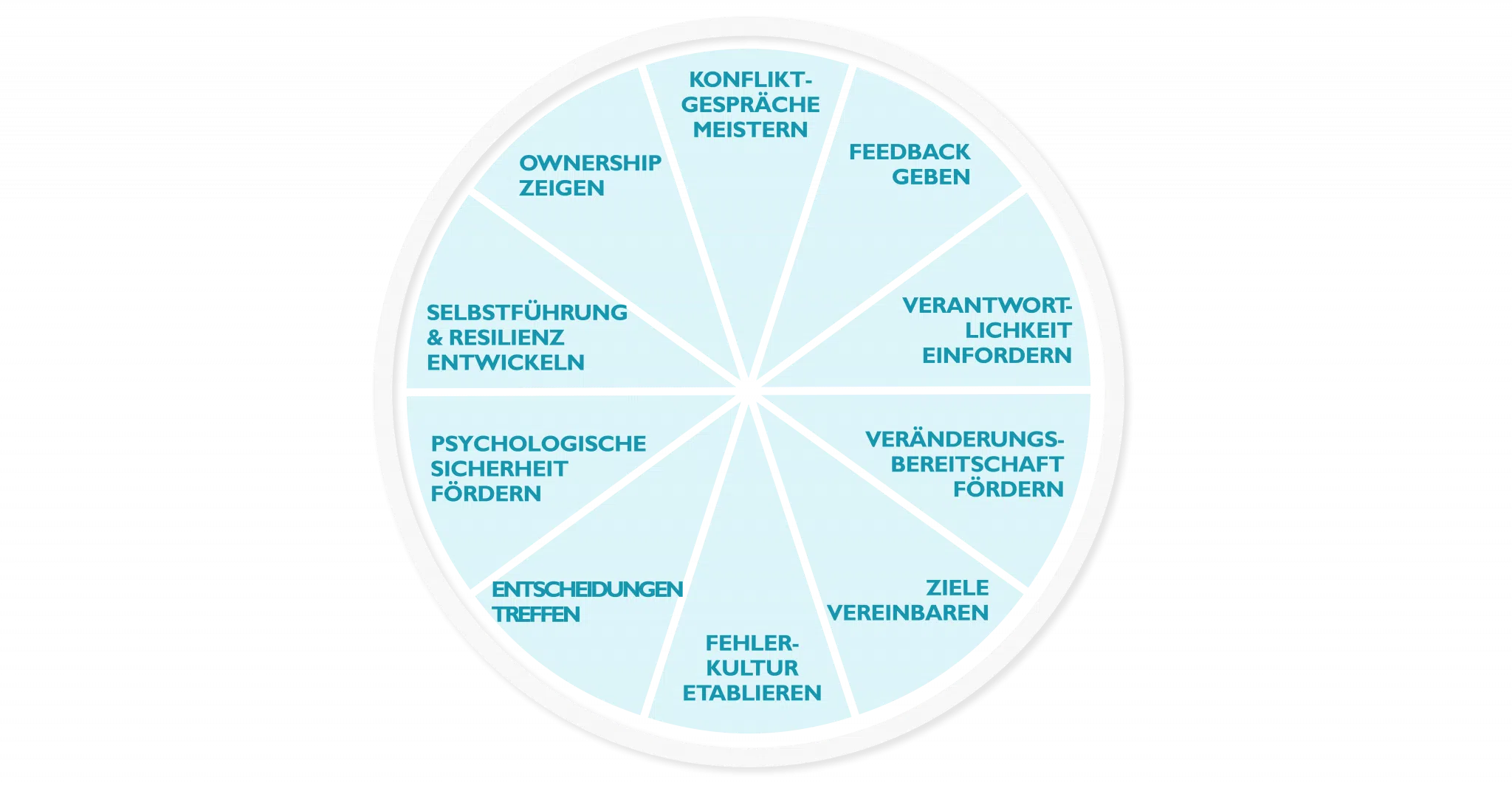 Wheel_leer_nur_Kompetenzen-e1755271728465-1536x801